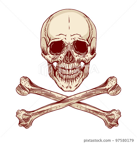 human skull and crossbones human skull and crossbones 97580179