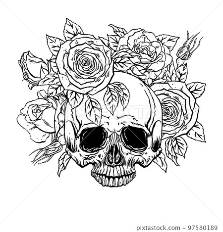 human skull with a roses wreath human skull with a roses wreath 97580189