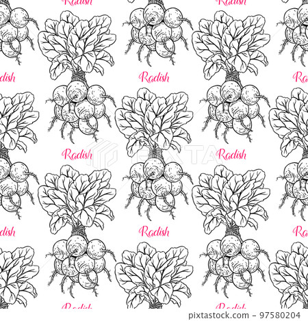 seamless bunches of ripe radish seamless bunches of ripe radish 97580204