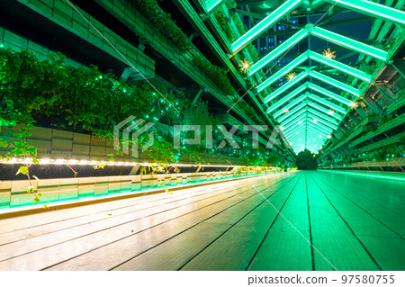 [愛知縣]笹島實景/全球之門夜景 97580755