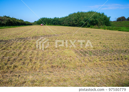 Fields after rice harvesting Along cycling road Arakawa, near Kawataya, Okegawa 97580779