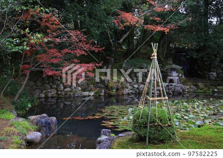 秋天的金澤兼六園 秋天的金澤兼六園 97582225