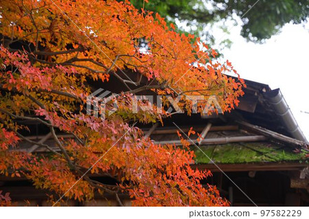 秋天的金澤兼六園 秋天的金澤兼六園 97582229