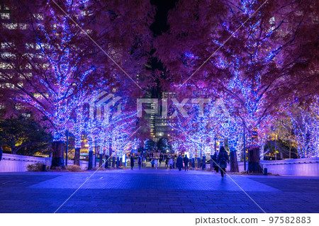 《Kanagawa Prefecture》Illumination of Yokohama Minato Mirai Grand Mall Park 97582883