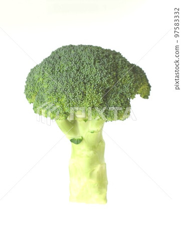 Close up of broccoli flower buds on white background 97583332
