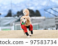 Golden retriever 97583734