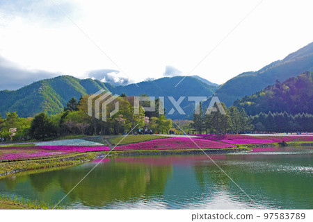 Mountain range and moss phlox Mountain range and moss phlox 97583789
