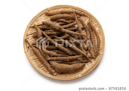 Edible wild burdock Edible wild burdock 97583858