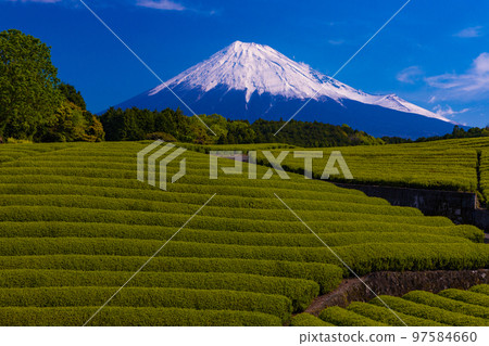 Eighty eight nights 97584660