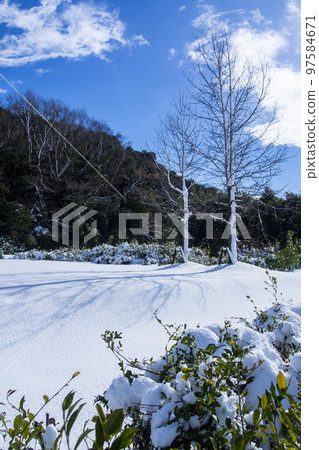 blue sky after snow blue sky after snow 97584671