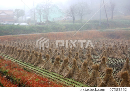 一把剃刀 97585262