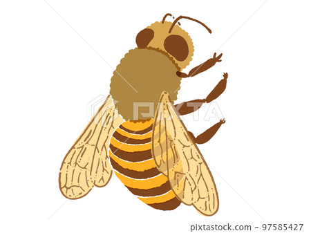 Watercolor touch honey bee illustration material Watercolor touch honey bee illustration material 97585427