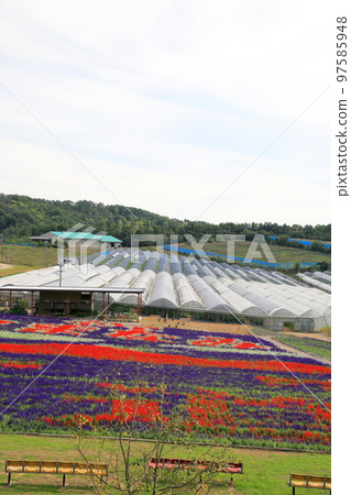 Sera Highland Farm 97585948