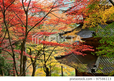 Kogenji three-storied pagoda in Tanba City, Hyogo Prefecture, which is fantastic with autumn leaves 97586113