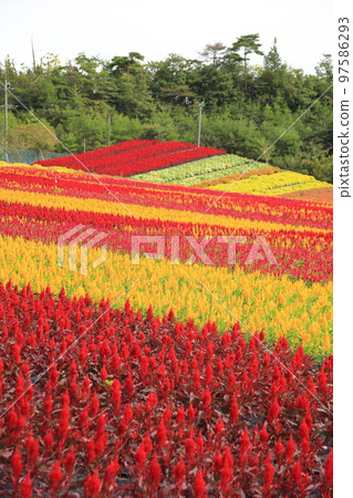 Sera Highland Farm Sera Highland Farm 97586293