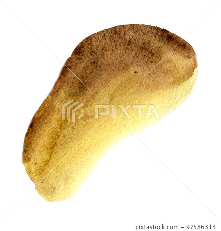 Brown watercolor paint stroke isolated on white background. 97586313