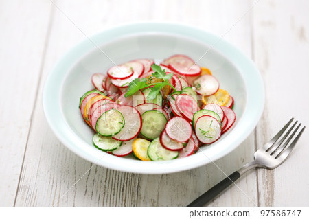 蘿蔔沙拉 97586747