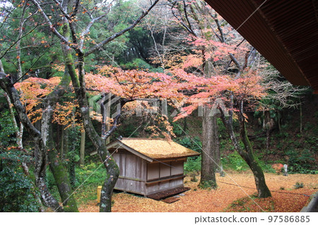 Mashiko Town Saimyoji 97586885