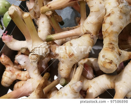 Chinese ginger or galingale rhizome at the market. Chinese ginger or galingale rhizome at the market. 97586898