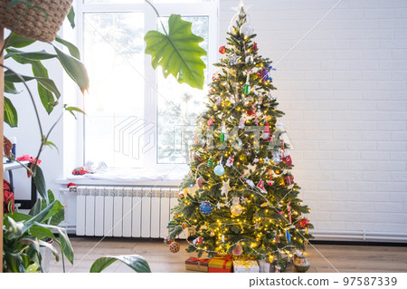 Christmas tree in the white interior of a house with large windows. Glowing fairy lights garlands interior decoration of the studio room. Potted plants in the home Christmas tree in the white interior of a house with large windows. Glowing fairy lights garlands interior decoration of the studio room. Potted plants in the home 97587339