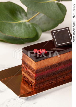Slice of chocolate cake with mousse, berry jelly and ganache Slice of chocolate cake with mousse, berry jelly and ganache 97589477