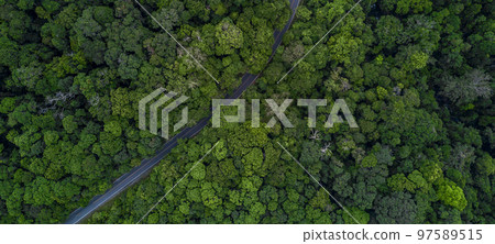 Aerial view green forest road, Road through the green forest, Aerial top view forest road, Texture of forest view from above, Ecosystem and ecology environment and background. 97589515