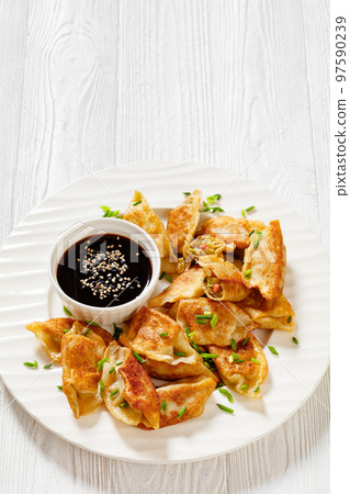 gyoza, wonton wrappers stuffed with pork, cabbage gyoza, wonton wrappers stuffed with pork, cabbage 97590239