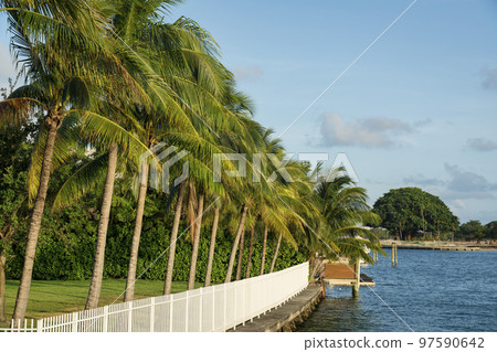 Row of trees behind the white fence from the ocean at the bay in Miami, Florida 97590642
