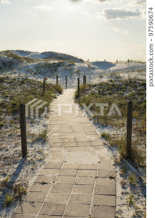 Concrete pavement with wooden poles at the side on the beach sand dunes in Destin, Florida 97590674