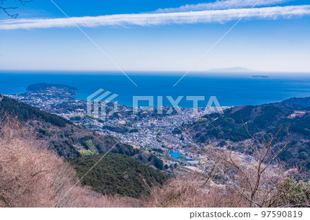 (Kanagawa Prefecture) View of Yugawara and Manazuru streets and Sagami Bay from Yugawara plum grove (Kanagawa Prefecture) View of Yugawara and Manazuru streets and Sagami Bay from Yugawara plum grove 97590819
