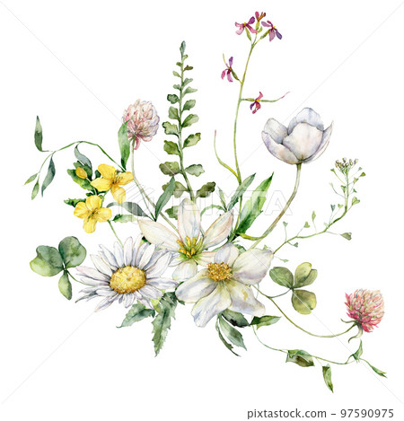 Watercolor meadow flowers bouquet of chamomile, buttercup and geranium. Hand painted floral poster of wildflowers isolated on white background. Holiday Illustration for design, print, background. Watercolor meadow flowers bouquet of chamomile, buttercup and geranium. Hand painted floral poster of wildflowers isolated on white background. Holiday Illustration for design, print, background. 97590975