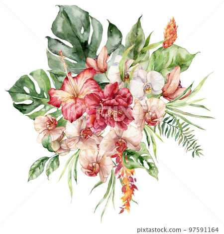 Watercolor tropical flowers bouquet of hibiscus, orchid, etlingera and monstera. Hand painted floral poster isolated on white background. Holiday Illustration for design, print, fabric or background. Watercolor tropical flowers bouquet of hibiscus, orchid, etlingera and monstera. Hand painted floral poster isolated on white background. Holiday Illustration for design, print, fabric or background. 97591164