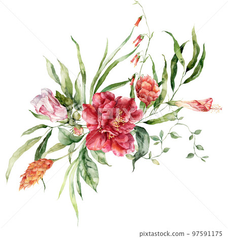 Watercolor tropical flowers bouquet of hibiscus, etlingera and torch ginger. Hand painted floral poster isolated on white background. Holiday Ill ustration for design, print, fabric or background. Watercolor tropical flowers bouquet of hibiscus, etlingera and torch ginger. Hand painted floral poster isolated on white background. Holiday Ill ustration for design, print, fabric or background. 97591175