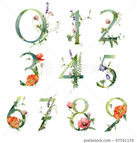 Watercolor numbers set of wild flowers. Hand painted floral symbols isolated on white background. Holiday Illustration for design, print, fabric or background. 97591178