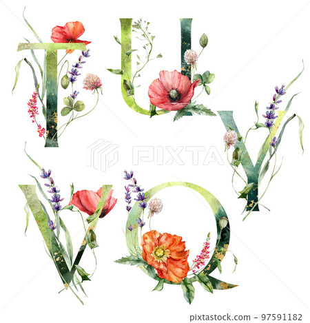 Watercolor frolal alphabet set of Q, T, U, V, Y with wild flowers. Hand painted floral symbols isolated on white background. Holiday Illustration for design, print, fabric or background. 97591182