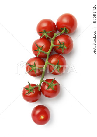 Bunch of fresh, red tomatoes with green stems isolated Bunch of fresh, red tomatoes with green stems isolated 97591420