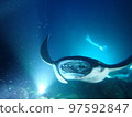 manta night diving 97592847