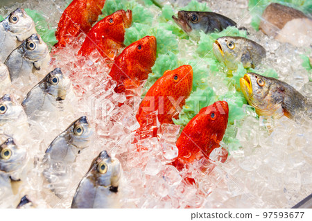 Fresh fish selling on wet market Fresh fish selling on wet market 97593677