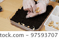 Planting vegetable at home for mini garden 97593707