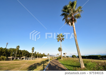 Hirono Park (Shizuoka City) 221213pm3:10 Hirono Park (Shizuoka City) 221213pm3:10 97594016