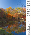 Autumn leaves of the Takadoya wetland 97594126
