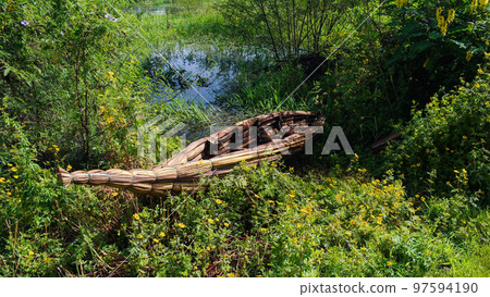 Traditional weed boat,shore of Tana lake. Bahir Dar, Ethiopia Traditional weed boat,shore of Tana lake. Bahir Dar, Ethiopia 97594190