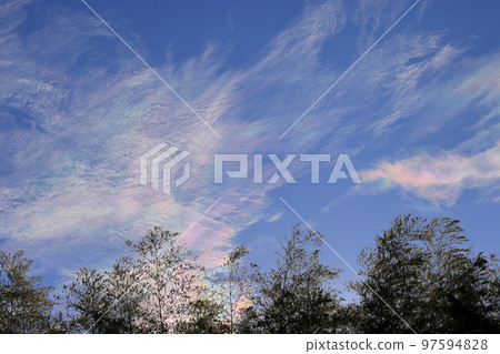 Saiun, the harbinger of good luck 97594828