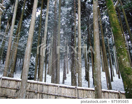 It is a snow scene taken at a certain temple in Kyoto. 97595085