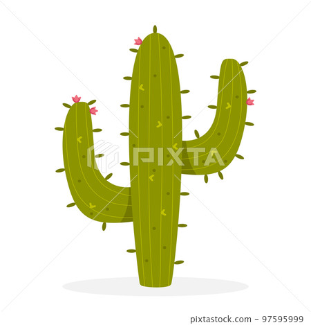 Cactus 97595999