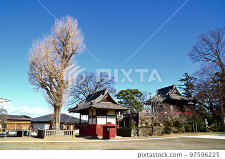 群馬縣藤岡市的能量點諏訪神社的神木 群馬縣藤岡市的能量點諏訪神社的神木 97596225