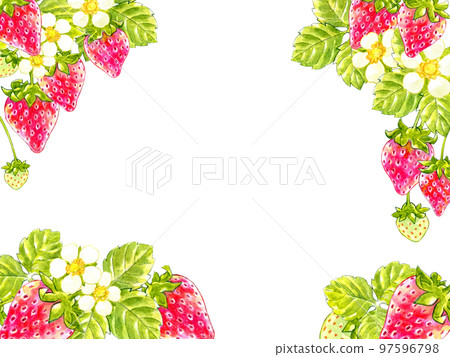 Spring red strawberry watercolor frame material 97596798