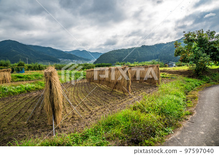 《Nagano Prefecture》Rice racks in rice fields in Yamanouchi-cho, Shimotakai-gun in autumn 《Nagano Prefecture》Rice racks in rice fields in Yamanouchi-cho, Shimotakai-gun in autumn 97597040
