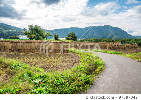 《Nagano Prefecture》Rice racks in rice fields in Yamanouchi-cho, Shimotakai-gun in autumn 《Nagano Prefecture》Rice racks in rice fields in Yamanouchi-cho, Shimotakai-gun in autumn 97597042