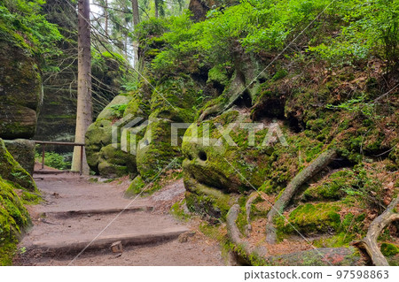 Beautiful rocks in the forest are covered with green moss. Hiking trail. 97598863